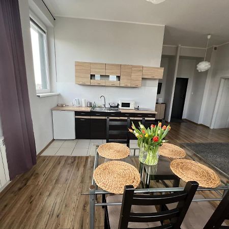 Business Center Apartment สเกียร์เนียวิตเซ ภายนอก รูปภาพ