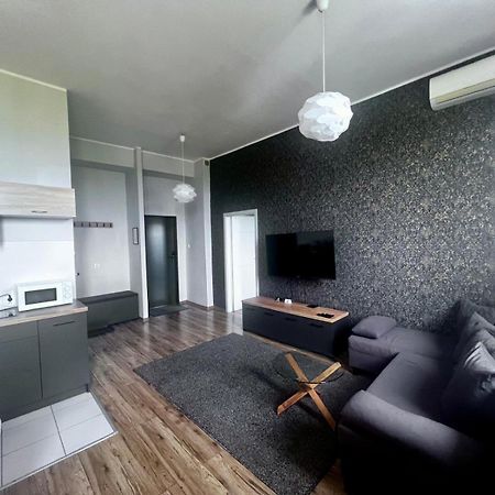 Business Center Apartment สเกียร์เนียวิตเซ ภายนอก รูปภาพ