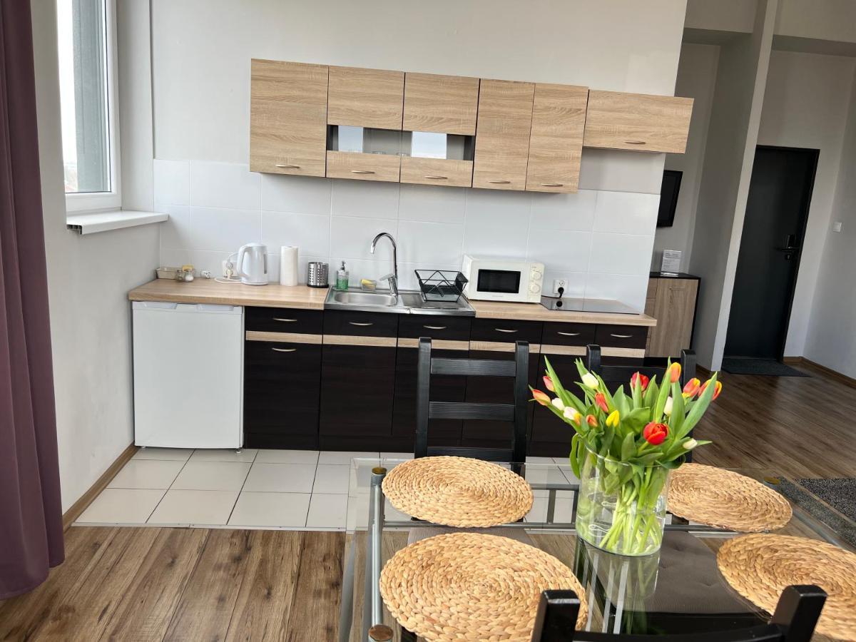 Business Center Apartment สเกียร์เนียวิตเซ ภายนอก รูปภาพ