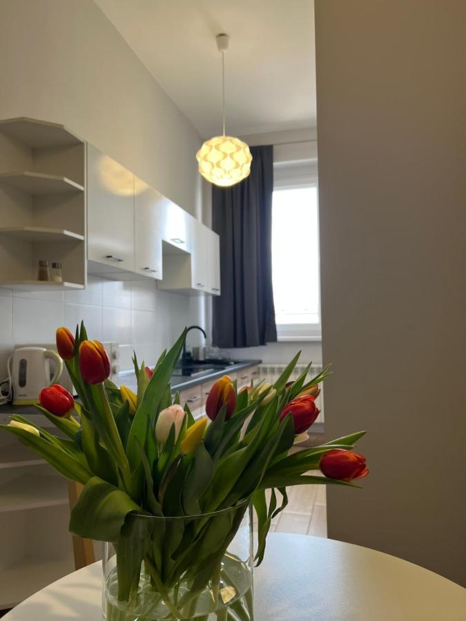 Business Center Apartment สเกียร์เนียวิตเซ ภายนอก รูปภาพ