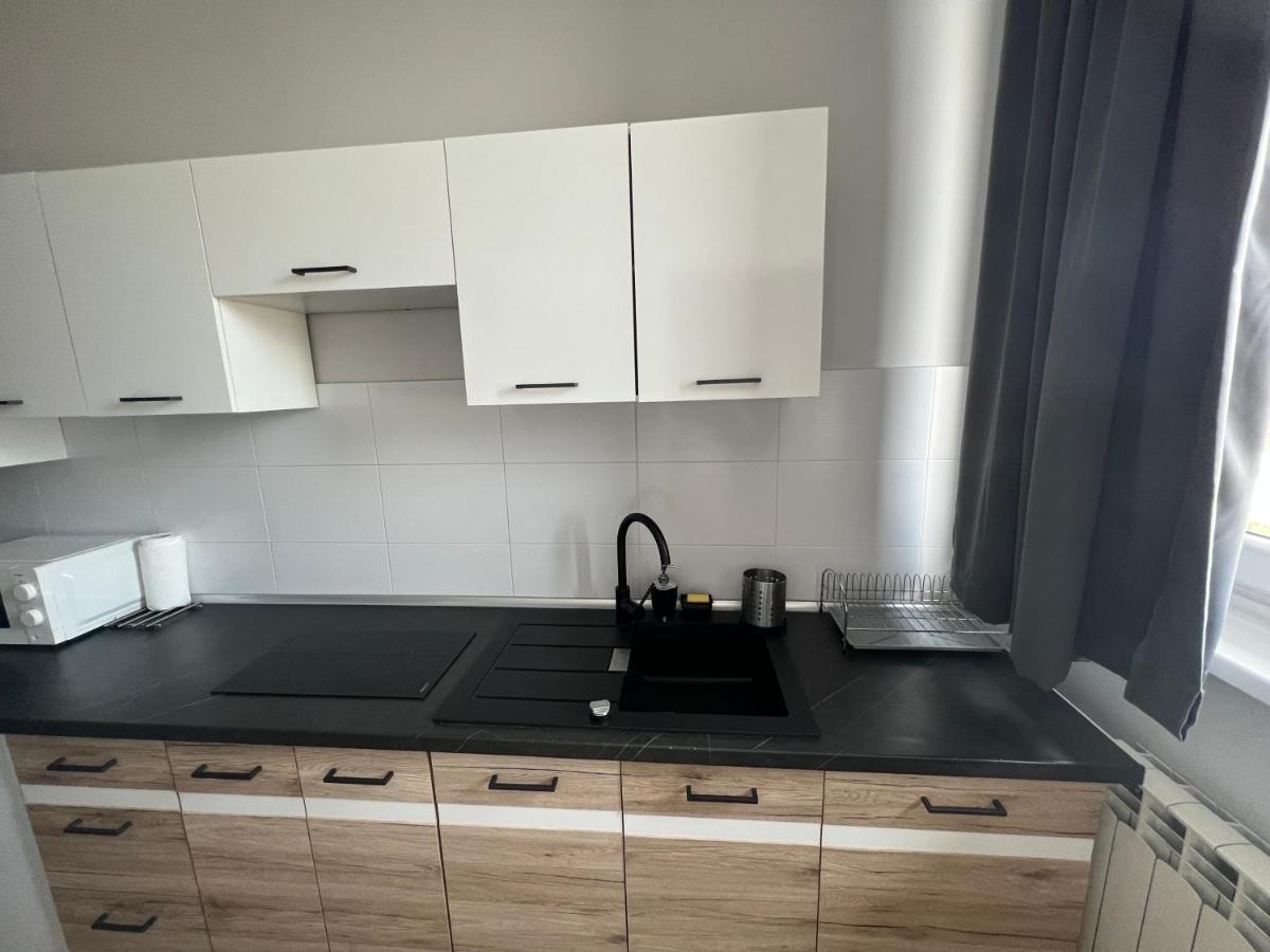 Business Center Apartment สเกียร์เนียวิตเซ ภายนอก รูปภาพ