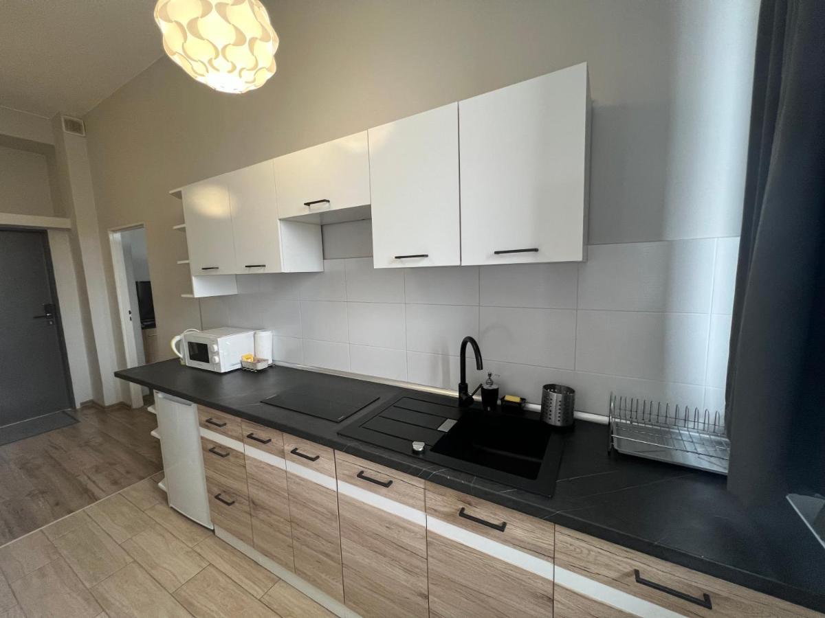Business Center Apartment สเกียร์เนียวิตเซ ภายนอก รูปภาพ