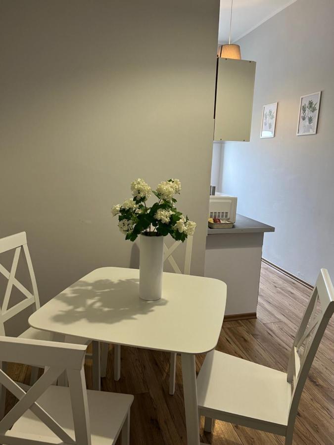 Business Center Apartment สเกียร์เนียวิตเซ ภายนอก รูปภาพ